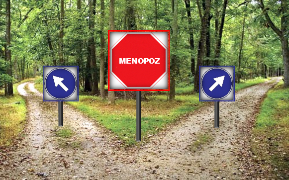 menepoz tedavi edilmeli midir?